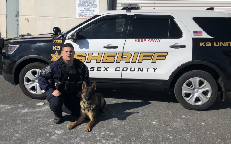 Essex County Sheriff’s Office K9 Odin to get donation of body armor