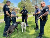 Sheriff hosts convention for comfort dogs
